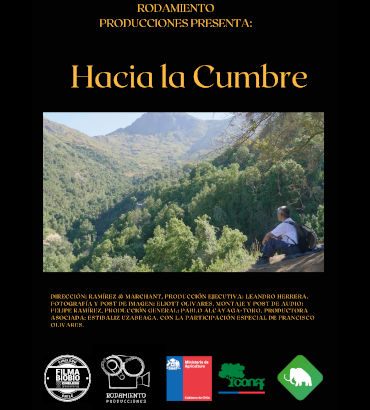 Hacia la cumbre: cortometraje documental